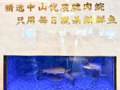 -粤顺渔坊·中山脆肉鲩火锅(清湖店)