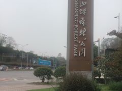 -铁山坪森林公园