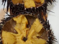 -海胆小馆(东北水饺·春柳店)