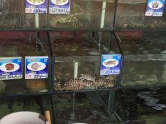 -南海渔家•海鲜•正宗海南菜(海棠湾店)