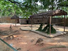 -深圳野生动物园