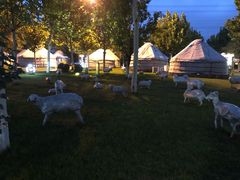 -九十九顶毡房(阜石路店)