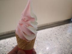 -蜜雪冰城(万达广场店)