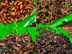 -席娜卡琳火车铁道夜市