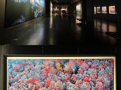 -罗红摄影艺术馆