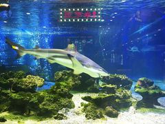 -凯德广场(学府店)