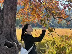-塔川景区