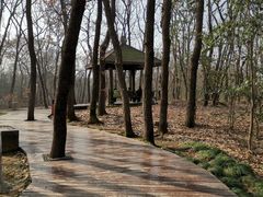 -紫金山索道-售票处