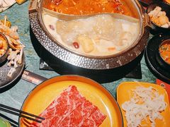 -牛New寿喜烧(金鹰世界店)