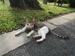 -晓港公园
