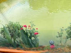 -晓琦农家菜馆·地道农家菜