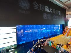-成都浩海立方海洋公园