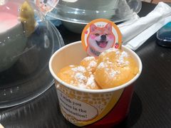 -逗柴咖啡屋·狗咖猫咖宠物桌游
