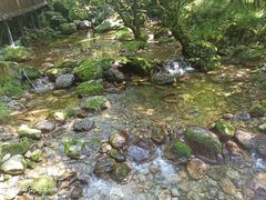-牛背梁国家森林公园