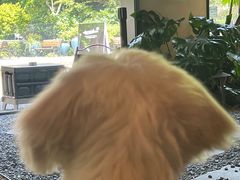 -J Create城市露营咖啡·简餐·宠物(上海动物园店)