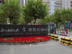 -西北大学(桃园校区)
