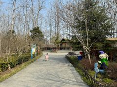 -合肥滨湖国家森林公园