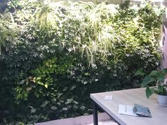 -引领英语·成人口语·雅思托福