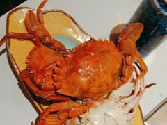 -星伦多自助料理·涮烤一体(奉贤龙湖天街店)