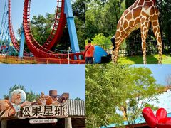 -南戴河国际娱乐中心