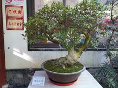 -汇龙潭