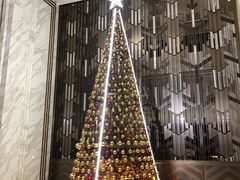 -康莱德酒店·美庭自助餐厅