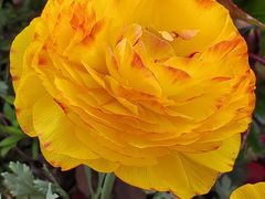 -同济大学(嘉定校区)