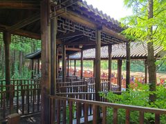 -溱湖国家湿地公园