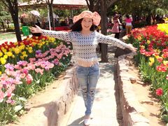 -洛阳郁金香牡丹园