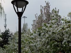 -元大都城垣遗址公园