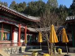 -宫事颐庭·老佛爷贵寿下午茶(颐和园店)