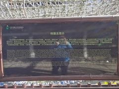 -呀路古热带植物园