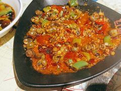 香辣螺蛳-红钳侠小龙虾·烧烤(中赢康康谷店)