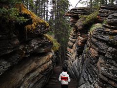 -阿萨巴斯卡瀑布观景点