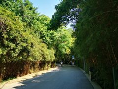 -贵阳市花溪国家城市湿地公园