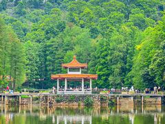 -深圳仙湖植物园