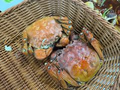 -渔娘蟹庄(阳澄湖莲花岛店)