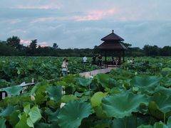 -梁鸿国家湿地公园