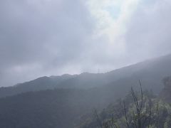 -永州阳明山国家森林公园