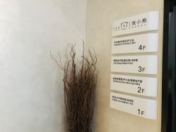 点击看大图 -爱小熊轻医美