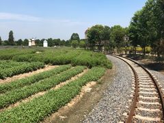 -歌斐颂巧克力小镇