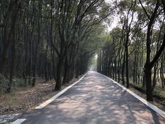 -同里国家湿地公园