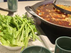 -新辣道鱼火锅(龙旗广场店)