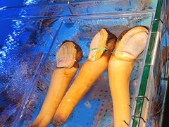 -阿伟海鲜楼·福建菜(延寿店)