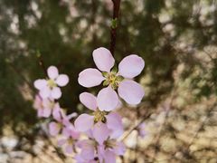 -居庸关长城