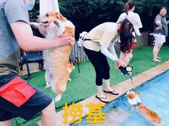 -汪说喵讲宠物乐园宠物酒店(红星美凯龙店)