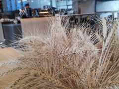 -Bracket Coffee(银河SOHO店)