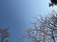 -北京十三陵国家森林公园蟒山景区