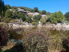 -北京西山国家森林公园