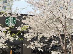 -玛格萝妮比萨屋(四平店)